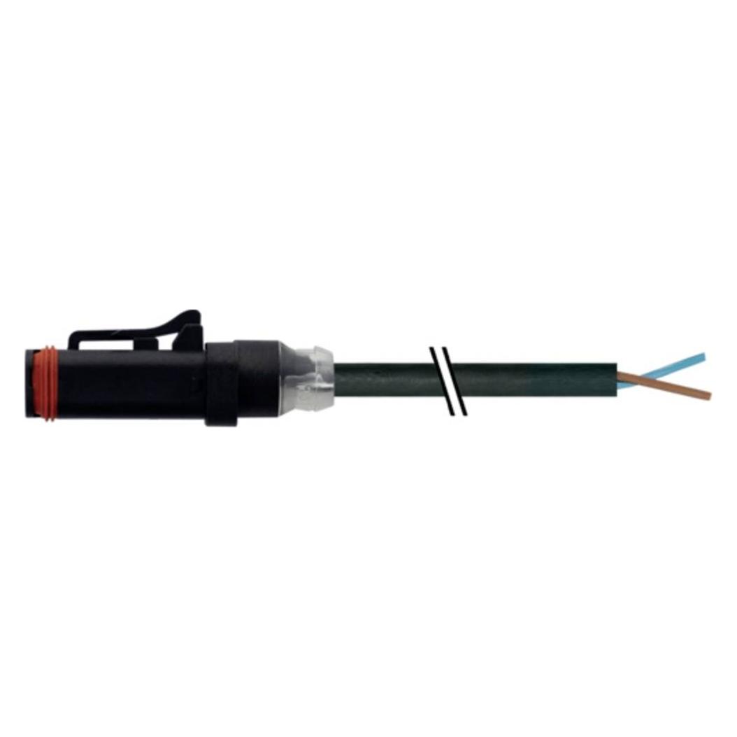 Murr Elektronik Murrelektronik 7072-72031-7540500 Sensor-/Aktor-Kabel Polzahl Sensoren: 2 1 S (7072-72031-7540500)