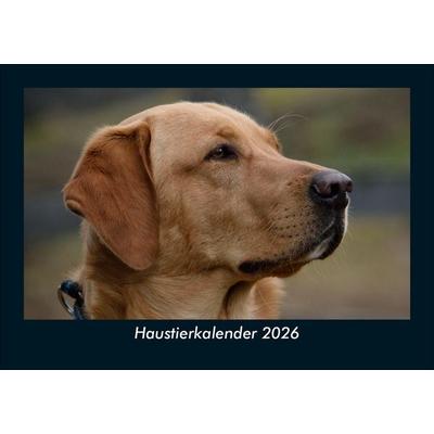 Haustierkalender 2026 Fotokalender DIN A5