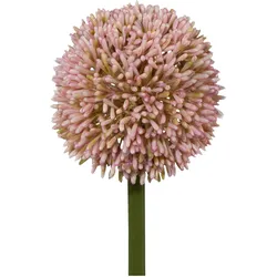 Allium II Rosa/Grün ca. 64cm
