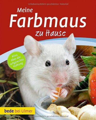 Melanie Teubler - Meine Farbmaus zu Hause - Preis vom 30.09.2026 22:30:23 h