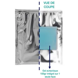 SACISO Metallisierte matte Kühltasche im Kleinformat - 20 x 22 cm (Öffnung x Höhe) - Wand mit integriertem Kühlgel - pro 100 Stück