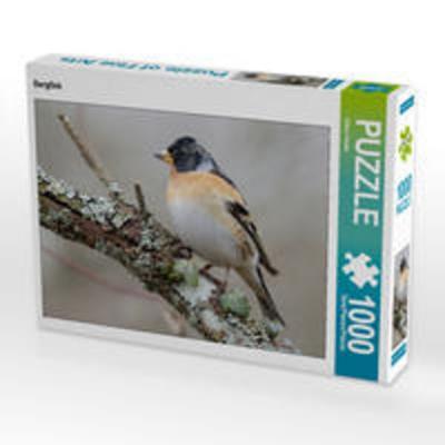 CALVENDO Puzzle Bergfink 1000 Teile Lege-Größe 64 x 48 cm Foto-Puzzle Bild von Klaus Feske