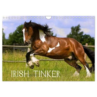 Irish Tinker (Wandkalender 2027 DIN A4 quer), CALVENDO Monatskalender