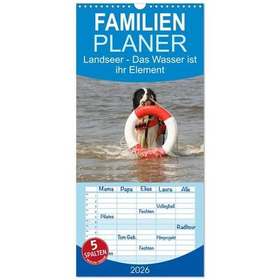 Familienplaner 2026 - Landseer - Das Wasser ist ihr Element mit 5 Spalten (Wandkalender, 21 x 45 cm) CALVENDO