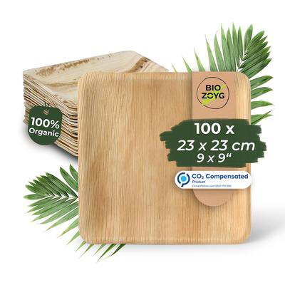 BIOZOYG 100 Stück Einwegteller 23x23cm Palmblatt-Teller, quadratisch, biologisch abbaubar, umweltfreundlich, kompostierbar, Wegwerfteller