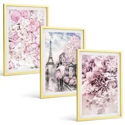BILDER SET 3er Set - 40x60 cm Goldrahmen - Blumenlandschaft in Rosatönen
