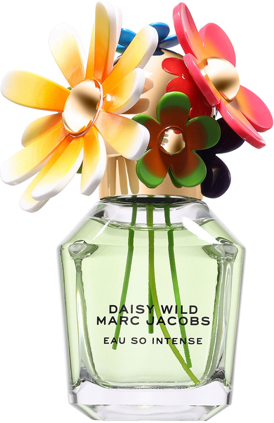 MARC JACOBS Daisy Wild Eau So Intense Eau De Parfum