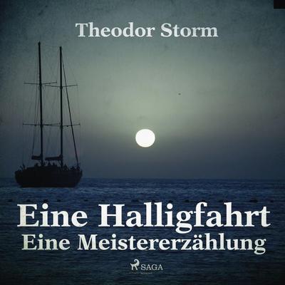 Eine Halligfahrt - Eine Meistererzählung (Ungekürzt) - Theodor Storm, Audio, 9788711861196