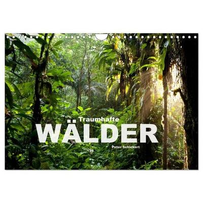 Traumhafte Wälder (Wandkalender 2027 DIN A4 quer), CALVENDO Monatskalender