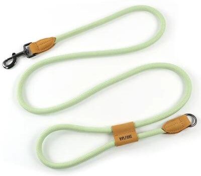 Uplifted Finds Simplicity Series 1.8M Hands Free Running Leash sky Green