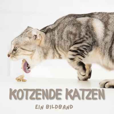 Kotzende Katzen, Taschenbuch von Tim Fröhlich, 27amigos, 978-3-7505-0640-4