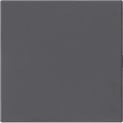 Gira 810828 Blindabdeckung ohne Tragring System 55 Anthrazit