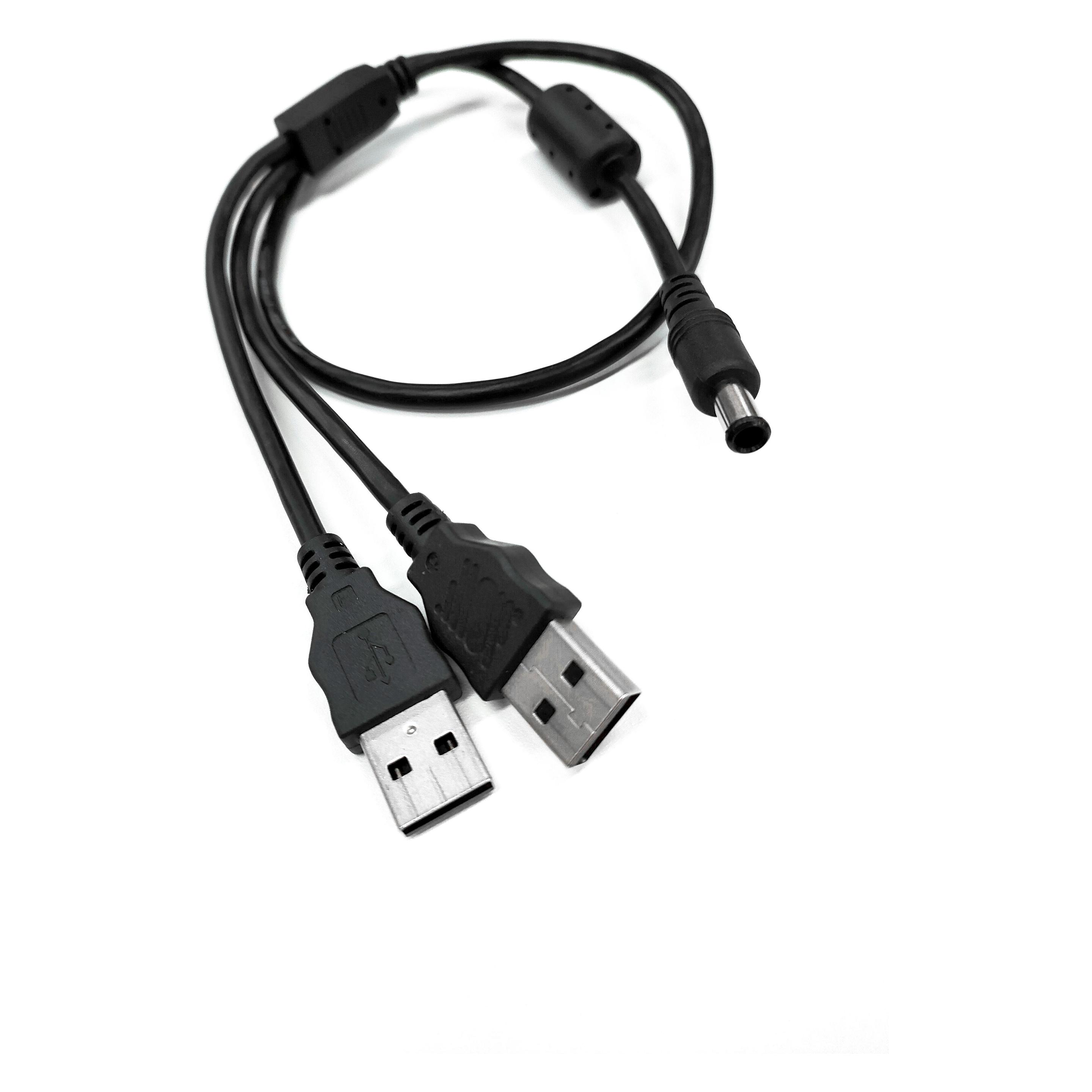 Silex USB 2.0-Y-Kabel 2xA für BR-500AC USB A - USB A 0.5 m (0.50 m, USB 2.0) (E1639)