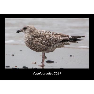 Vogelparadies 2027 Fotokalender DIN A3