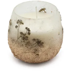 Small Glass Jar Candles - Wildlight Woods