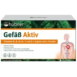 Hübner Gefäß-Aktiv Monatspackung