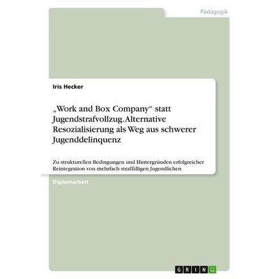 'Work and Box Company' statt Jugendstrafvollzug. Alternative Resozialisierung als Weg aus schwerer Jugenddelinquenz, Taschenbuch von Iris Hecker,