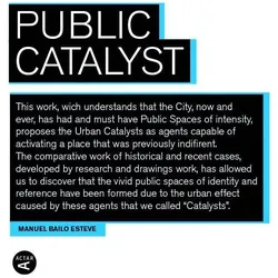 Public Catalyst, Sachbücher von Manuel Bailo
