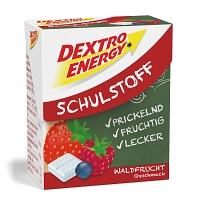 DEXTRO ENERGY Schulstoff Waldfrucht Täfelchen 50 g