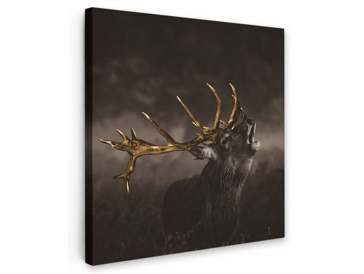 LEINWANDBILD Rotwild - Schwarz - Gold Deko Groß 90x90 cm