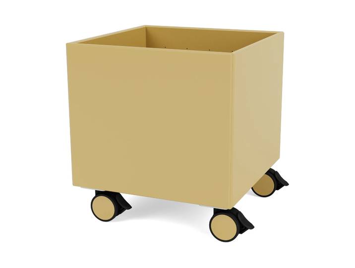 Montana Colour Box I – S6161 Cumin