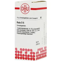 Ruta D 6 10 G