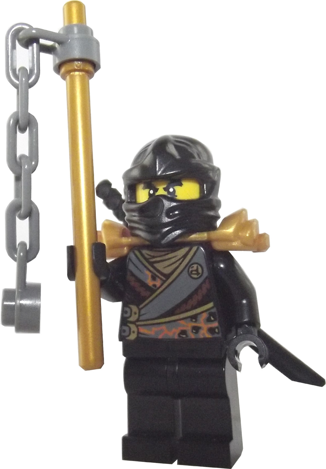 LEGO Ninjago Cole met accessoires