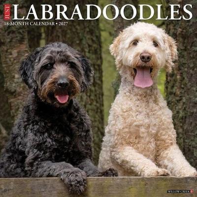 Labradoodles 2027 12 X 12 Wall Calendar