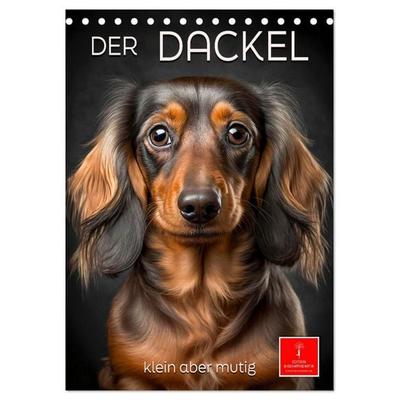 Der Dackel - klein aber mutig (Tischkalender 2027 DIN A5 hoch), CALVENDO Monatskalender