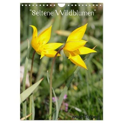 'Seltene Wildblumen' (Wandkalender 2027 DIN A4 hoch), CALVENDO Monatskalender