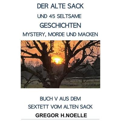 Der alte Sack und 45 seltsame Geschichten, Taschenbuch von Gregor Noelle, Rediroma-Verlag, 978-3-692-43233-5