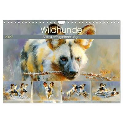 Wildhunde. Afrikas erfolgreiche Jäger (Wandkalender 2027 DIN A4 quer), CALVENDO Monatskalender