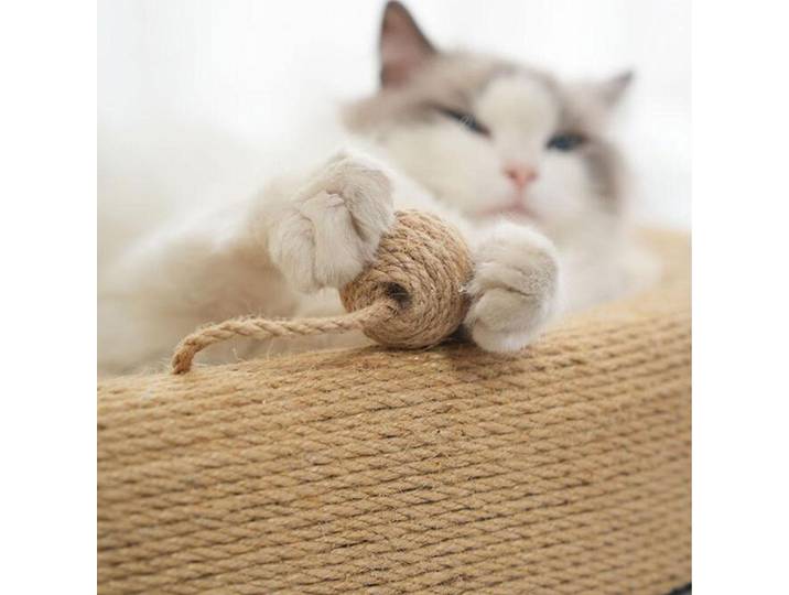 Cat Scratching Board Cat Scratcher Tough Pet Supplies Cat Scratching Bed Lounge