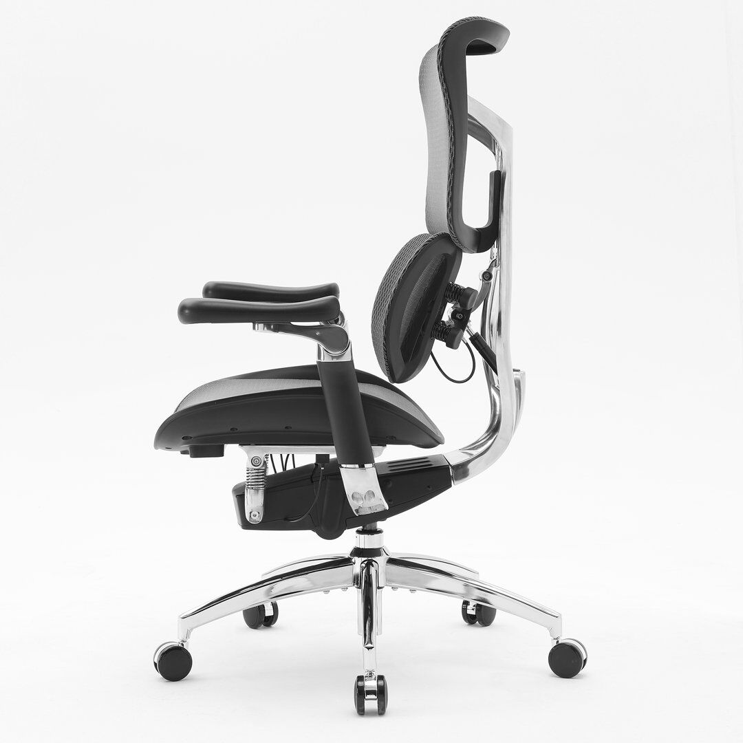 SIHOO Ergonomic Office Chair, with Dual Dynamic Lumbar Support, 6D Coordinated Armrest Black/Silver/Black 125cm H X 70cm W X 70cm D