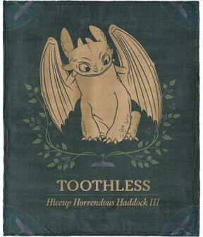 How to Train Your Dragon Hiccup and Toothless Silk Touch Throw Blanket 60x80 inches by THE NORTHWEST GROUP in Green (Size OS)