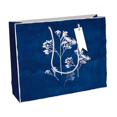 Clairefontaine 6x Cyanotypie, Excellia, Geschenktasche Shopping 37,3x11 ,8x27,5 cm - Blau 32496-6C