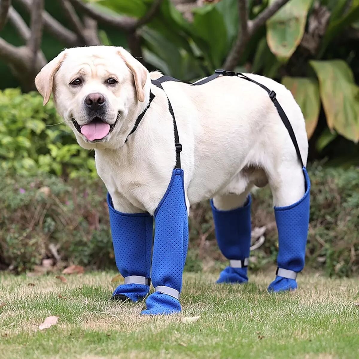 INF Wasserdichte & warme Hundeschuhe mit Anti-Fall-Gurten für Sauberkeit L