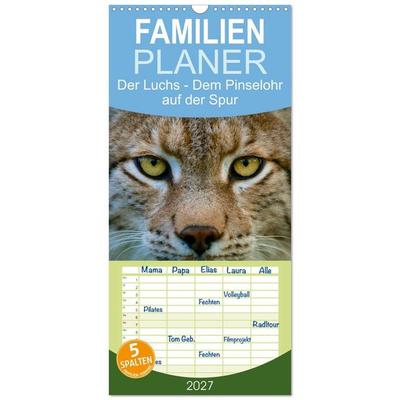 Familienplaner 2027 - Der Luchs - Dem Pinselohr auf der Spur mit 5 Spalten (Wandkalender, 21 x 45 cm) CALVENDO