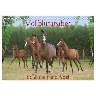 Vollblutaraber - Schönheit und Adel (Tischkalender 2027 DIN A5 quer), CALVENDO Monatskalender