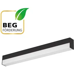 EVN, Bilderleuchte + Spiegelleuchte, LED-Spiegelleuchte LB24 (1050 lm)