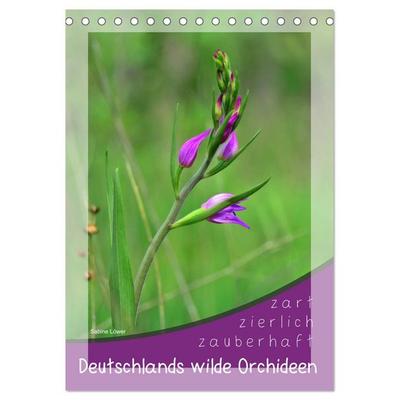 Deutschlands wilde Orchideen (Tischkalender 2026 DIN A5 hoch), CALVENDO Monatskalender