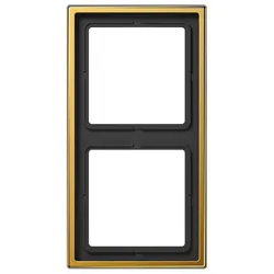 Jung Rahmen 2-fach go24Karat LS 982 GGO
