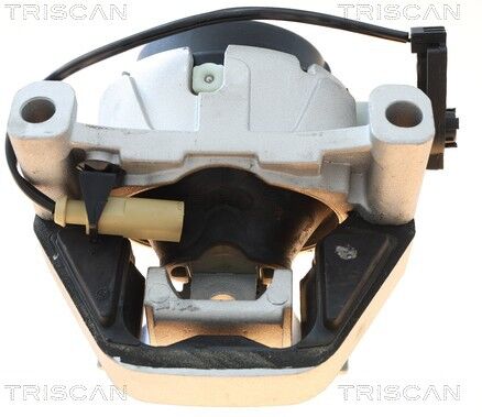 Triscan Lagerung, Motor 850529198 Für Audi