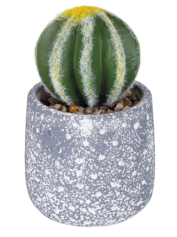 Villa d´Este Kunstpflanze "Cactus" in Grün/ Grau - (H)15 cm - onesize