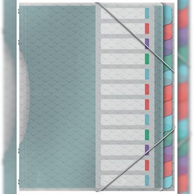 Esselte Ordnungsmappe Colour'Ice A4 PP 12 Fächer farbig