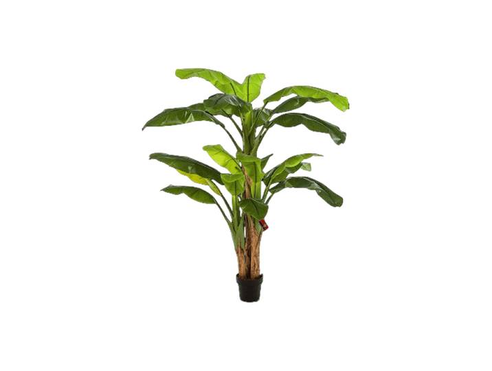 Lebensechte Kunstpflanze „Banana Tuft II“, verschiedene Grössen Grün Baq Design