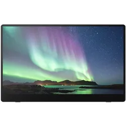 Ricoh 150 mobiler Multi-Touch Monitor 39,60cm (15,6")