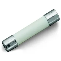 WAGO GmbH &amp; Co. KG G-Sicherungseinsatz 282-451