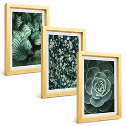 BILDER SET 3er Set - 20x30 cm Goldrahmen - Sukkulenten im Stil grüner Blätter