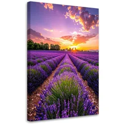 LEINWANDBILD Lavendelfeld Wiese violett 80x120cm